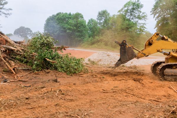 Cost of Forestry Mulching Service in Ballwin