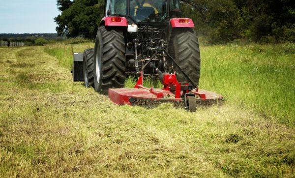 Cost of Brush Clearing Service in Ballwin