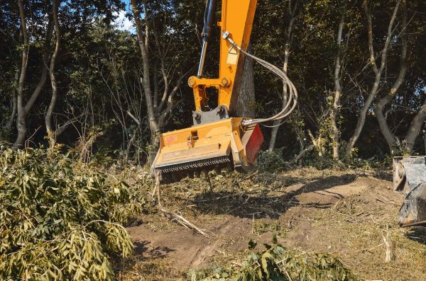 Cost of Brush Removal Service in Ballwin