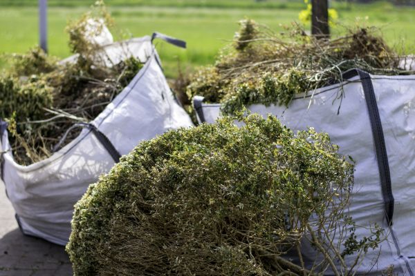 Cost of Bushes Clearing in Ballwin