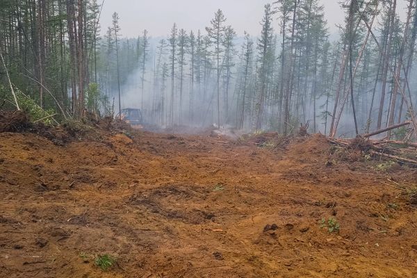 Cost of Hill Clearing in Ballwin