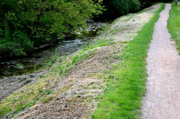 Cost of Trail Cutting in Ballwin